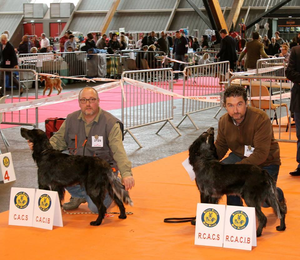 Expo internationale Amiens